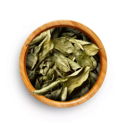 shop-quality-curry-leaves-online-in-the-uk