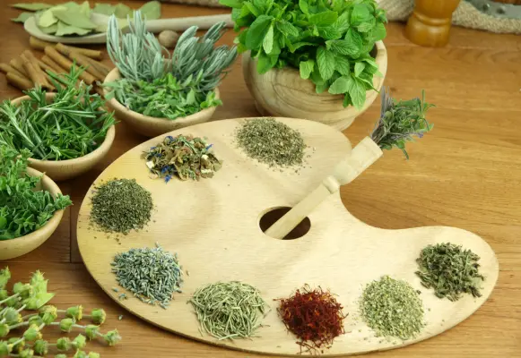 Herbs and spices placed on a painting tray.